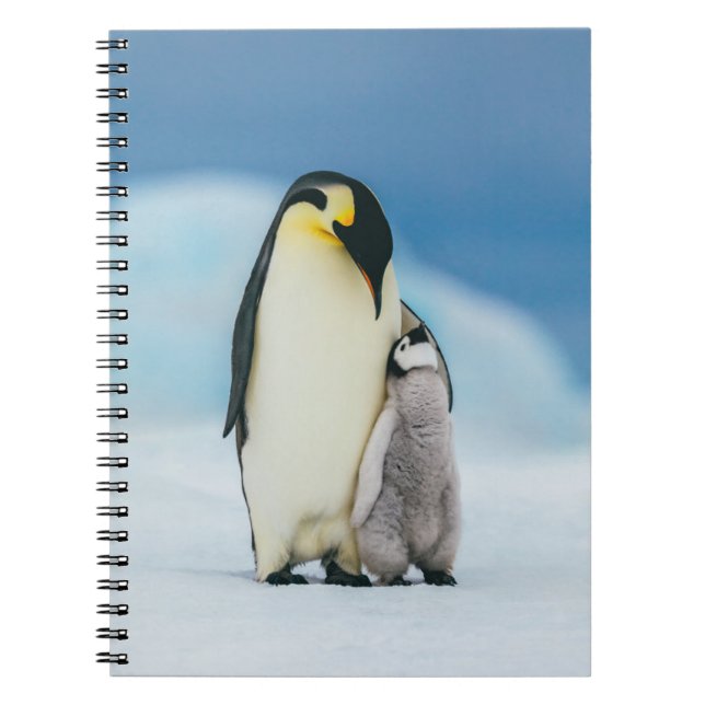 Cuaderno Animales de bebé más afectados | Emperador Pingüin (Frente)