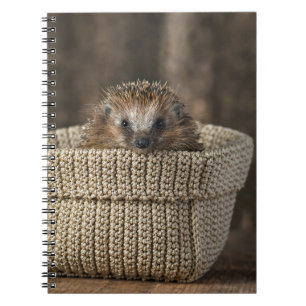 Cuaderno Animales de bebé más afectados Erizo en una cana