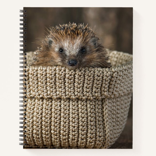 Cuaderno Animales de bebé más afectados | Erizo en una cana (Anverso)