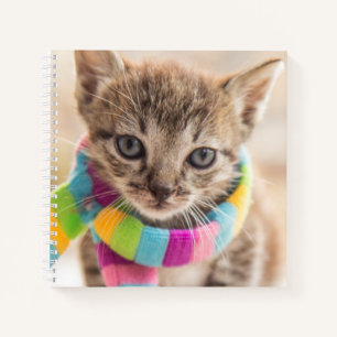 Cuaderno Animales de bebé más afectados   Escarcha de arcoi