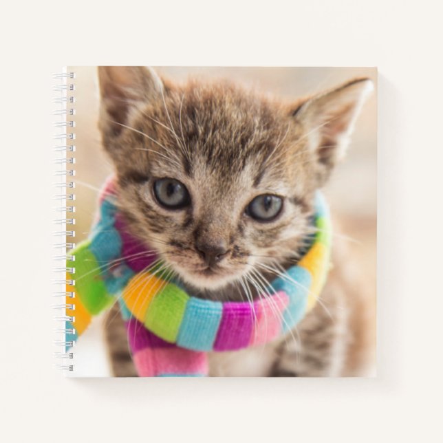 Cuaderno Animales de bebé más afectados | Escarcha de arcoi (Anverso)