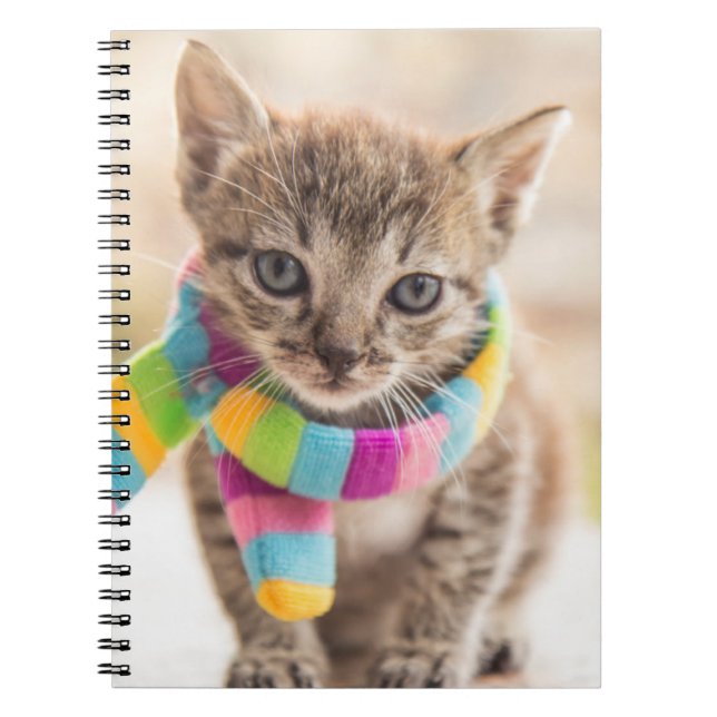 Cuaderno Animales de bebé más afectados | Escarcha de arcoi (Frente)