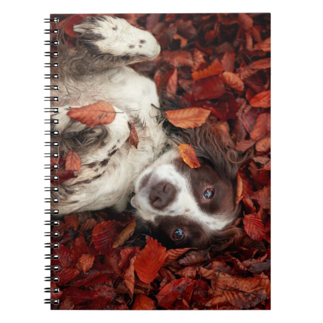 Cuaderno Animales de bebé más afectados | Español en hojas  (Frente)