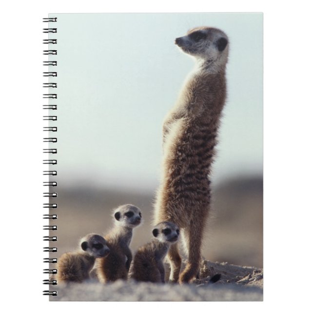 Cuaderno Animales de bebé más afectados | Familia de Meerka (Frente)