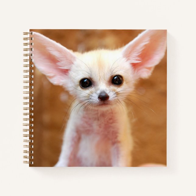 Cuaderno Animales de bebé más afectados | Fennec Fox (Anverso)