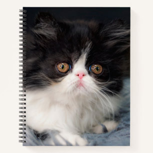 Cuaderno Animales de bebé más afectados   Fluffy B&W Kitten