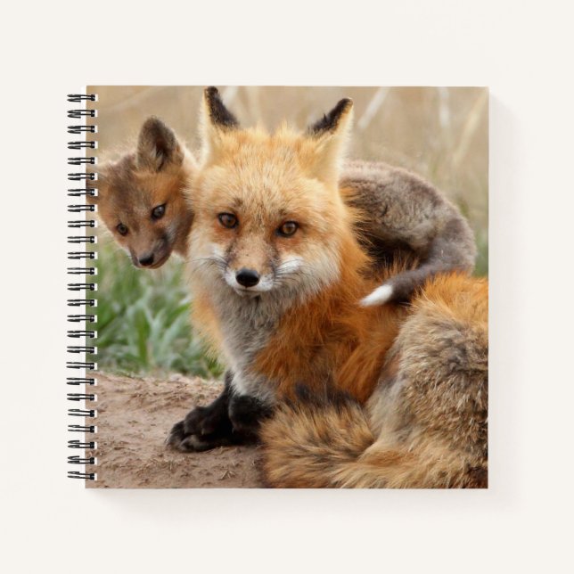 Cuaderno Animales de bebé más afectados | Fox y Bebé Rojos (Anverso)