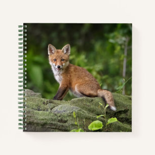 Cuaderno Animales de bebé más afectados   Foxy Smile