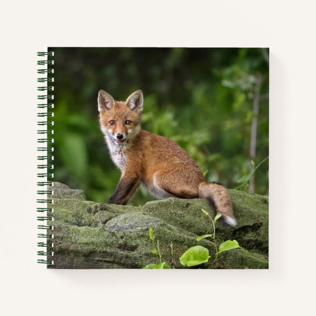 Cuaderno Animales de bebé más afectados | Foxy Smile (Anverso)