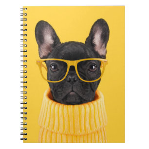 Cuaderno Animales de bebé más afectados Gafas de sol de B