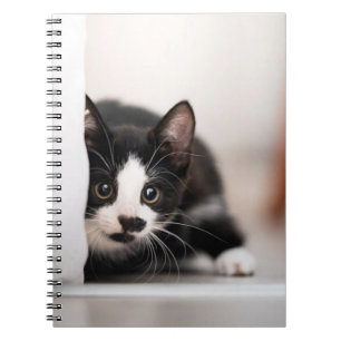 Cuaderno Animales de bebé más afectados Gatito blanco y n