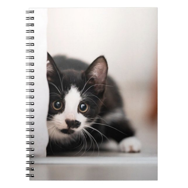 Cuaderno Animales de bebé más afectados | Gatito blanco y n (Frente)