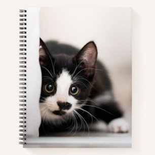Cuaderno Animales de bebé más afectados Gatito blanco y n