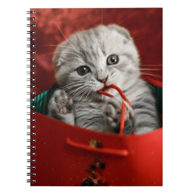 Cuaderno Animales de bebé más afectados | Gatito de peluche (Frente)