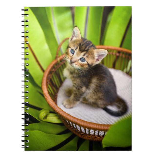 Cuaderno Animales de bebé más afectados | Gatito en canasta (Frente)