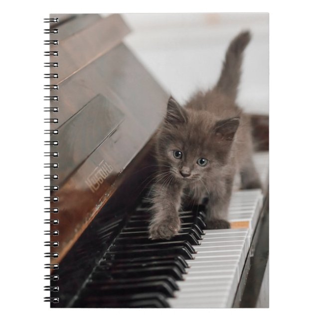 Cuaderno Animales de bebé más afectados | Gatito en piano (Frente)