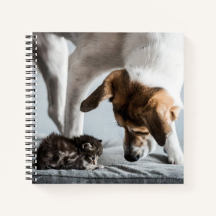 Cuaderno Animales de bebé más afectados Gatito y perro be