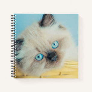 Cuaderno Animales de bebé más afectados Gato de punto de