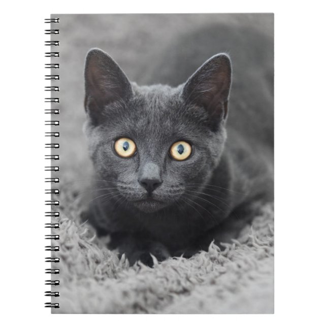 Cuaderno Animales de bebé más afectados | Gato gris (Frente)