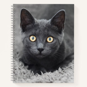 Cuaderno Animales de bebé más afectados Gato gris