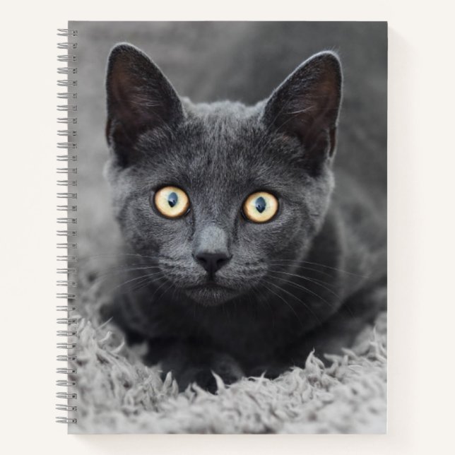 Cuaderno Animales de bebé más afectados | Gato gris (Anverso)