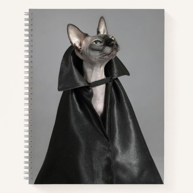 Cuaderno Animales de bebé más afectados | Gato sin pelo Sph (Anverso)