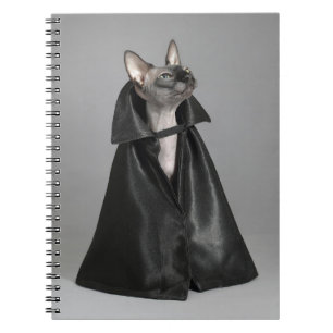 Cuaderno Animales de bebé más afectados   Gato sin pelo Sph