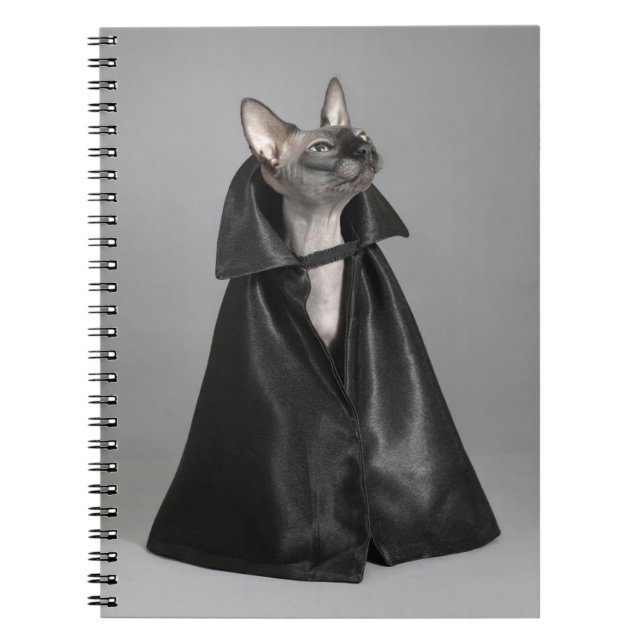 Cuaderno Animales de bebé más afectados | Gato sin pelo Sph (Frente)