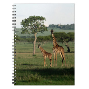 Cuaderno Animales de bebé más afectados Giraffe Calf & Ma