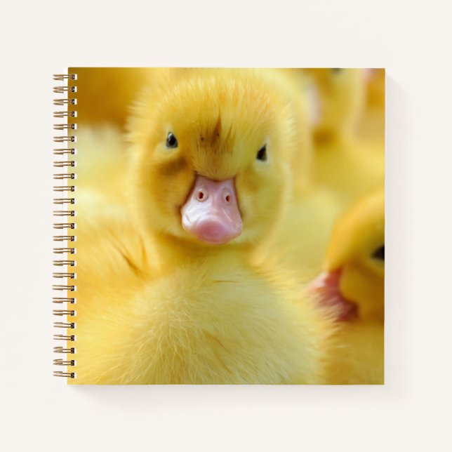 Cuaderno Animales de bebé más afectados | Grupo Pato Bebé (Anverso)