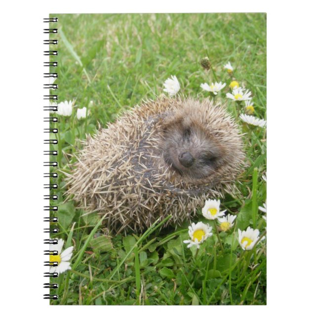 Cuaderno Animales de bebé más afectados | Hedgehog español (Frente)