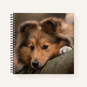 Cuaderno Animales de bebé más afectados   Hojas de ovino de