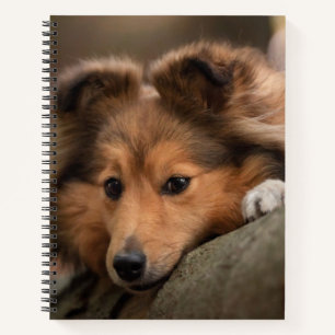 Cuaderno Animales de bebé más afectados Hojas de ovino de