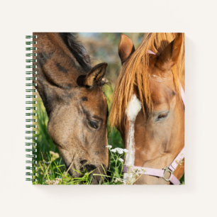 Cuaderno Animales de bebé más afectados   Horse Colt