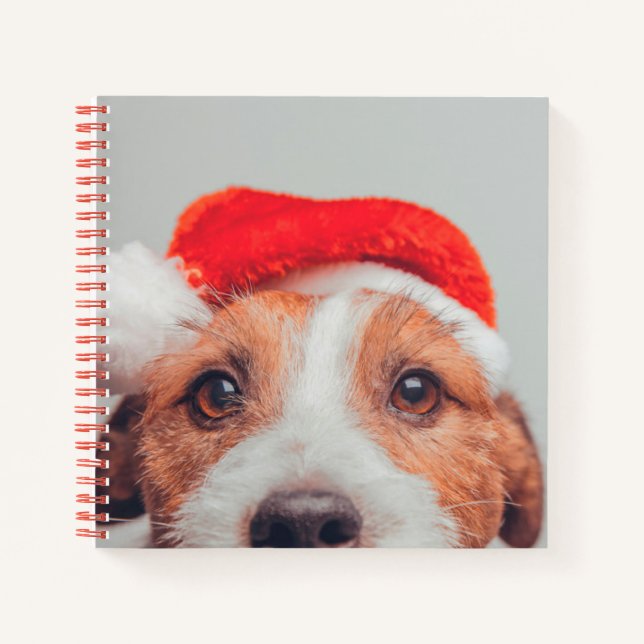 Cuaderno Animales de bebé más afectados | Jack Russell Dog  (Anverso)