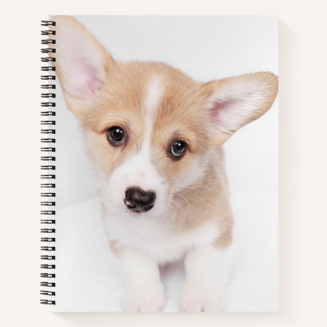 Cuaderno Animales de bebé más afectados | Joven Corgi Puppy (Anverso)