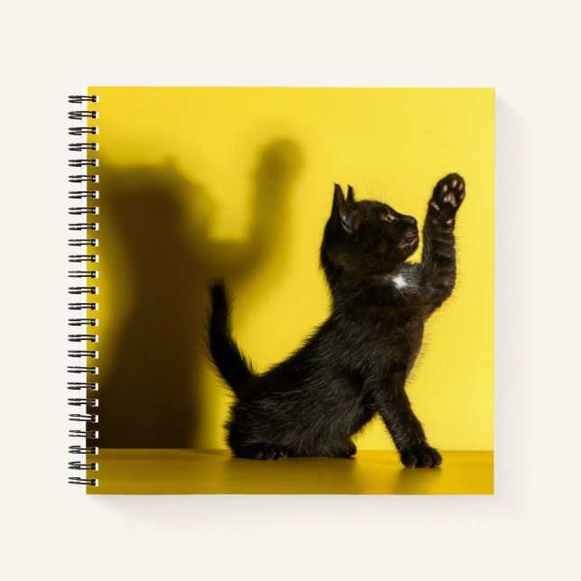 Cuaderno Animales de bebé más afectados | Jugar al gato neg (Anverso)
