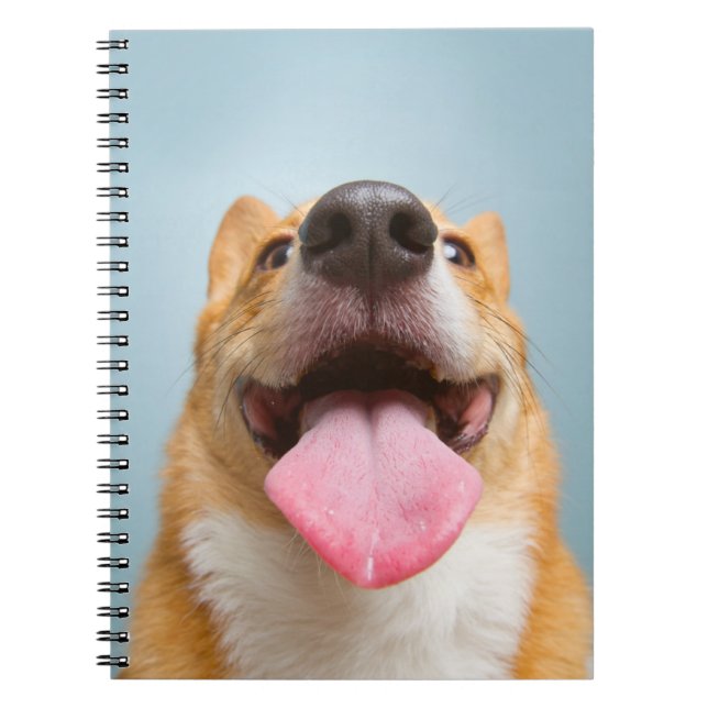 Cuaderno Animales de bebé más afectados | Lengua Corgi (Frente)