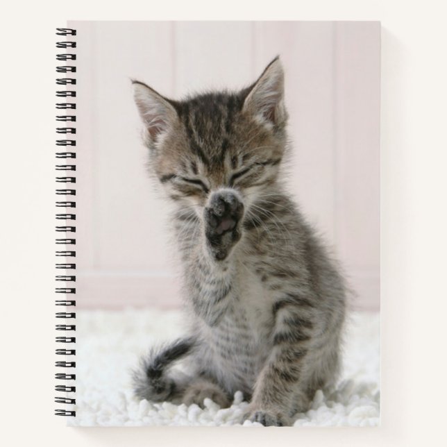 Cuaderno Animales de bebé más afectados | Licor Tabby Kitte (Anverso)