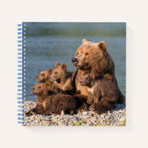 Cuaderno Animales de bebé más afectados Madre Oso y Cubos