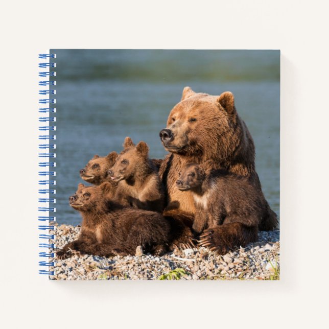 Cuaderno Animales de bebé más afectados | Madre Oso y Cubos (Anverso)