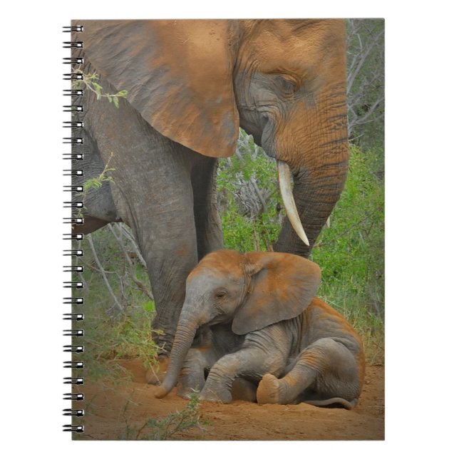 Cuaderno Animales de bebé más afectados | Mama Elephant & B (Frente)