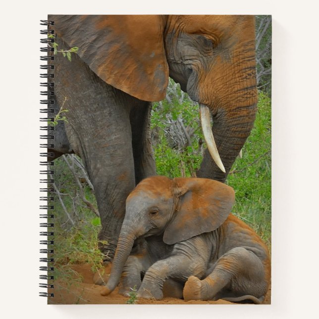 Cuaderno Animales de bebé más afectados | Mama Elephant & B (Anverso)