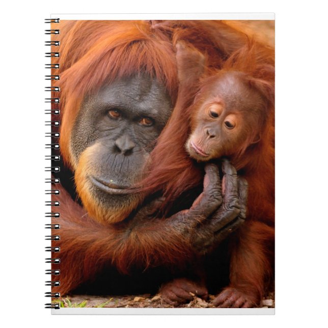 Cuaderno Animales de bebé más afectados | Mamá y bebé de Or (Frente)