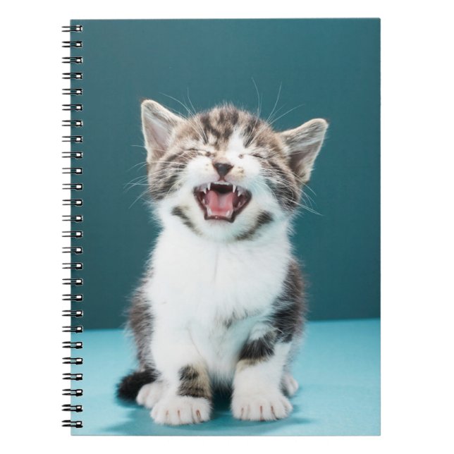 Cuaderno Animales de bebé más afectados | Meowing Baby Kitt (Frente)