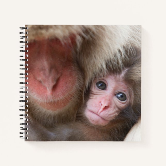 Cuaderno Animales de bebé más afectados | Mono de nieve (Anverso)