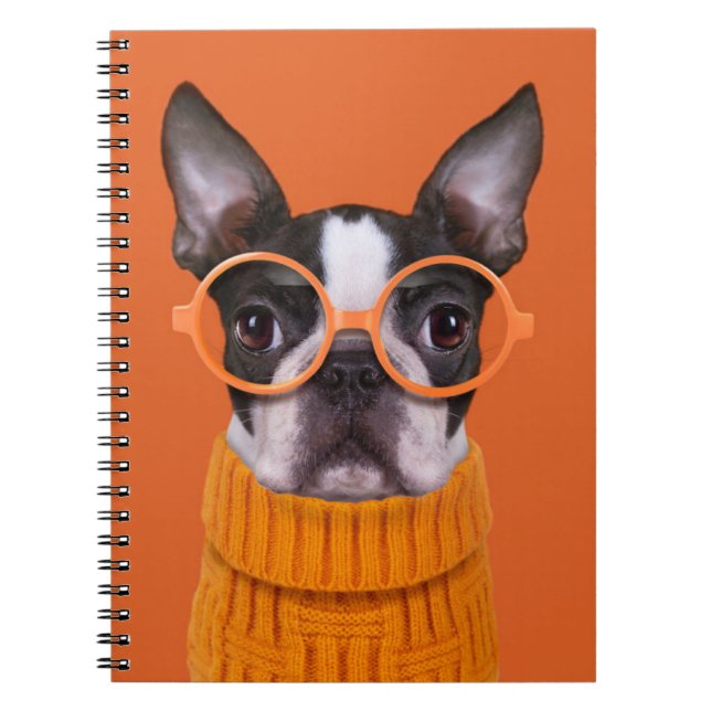 Cuaderno Animales de bebé más afectados | Naranja Boston Te (Frente)