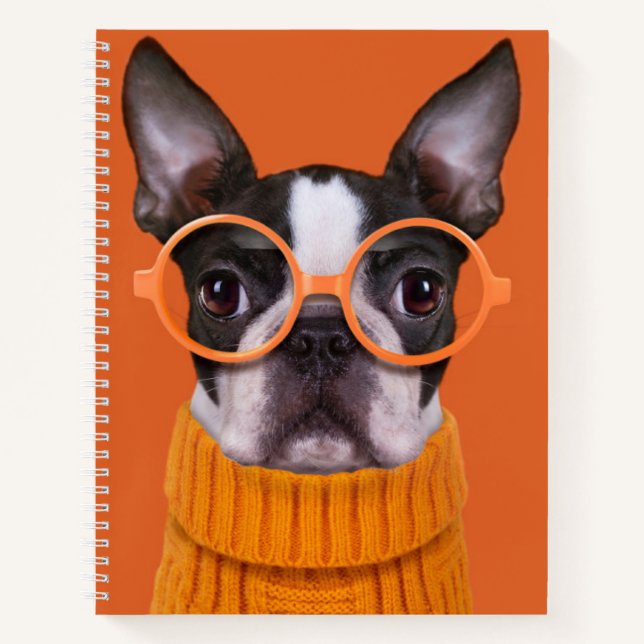 Cuaderno Animales de bebé más afectados | Naranja Boston Te (Anverso)