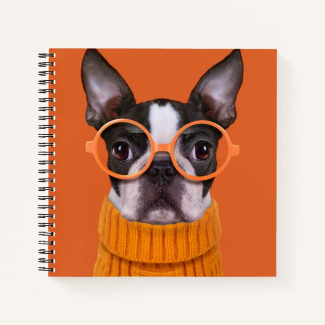 Cuaderno Animales de bebé más afectados | Naranja Boston Te (Anverso)