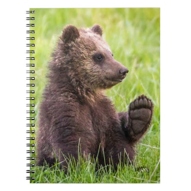 Cuaderno Animales de bebé más afectados | Ola de Oso Marrón (Frente)